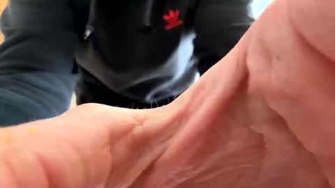 Snapshot of 090991jms chatting on 03-29-26, 01:44 JMS online show from 03-29-26, 01:44