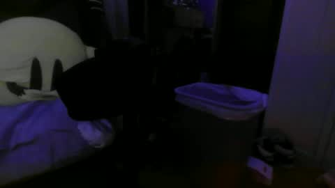 Snapshot of 1337assman1337 chatting on 10-21-25, 09:54 1337assman1337 online show from 10-21-25, 09:54