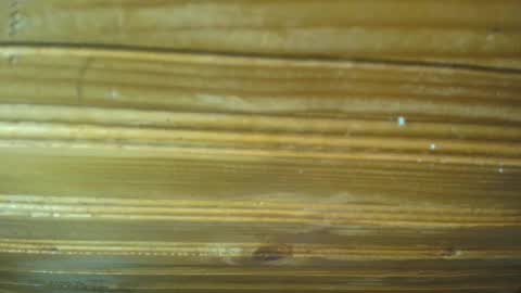 Carl the good girl online show from 02-21-25, 11:44