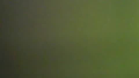 Snapshot of 1deluxepussy chatting on 01-09-25, 05:11 Deluxepussy online show from 01-09-25, 05:11
