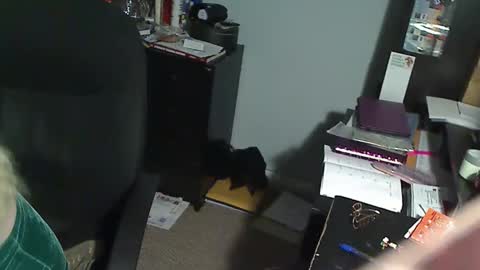 Snapshot of 1xtrahornyone chatting on 12-19-25, 01:01 Susan online show from 12-19-25, 01:01
