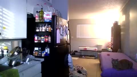 2girls1link online show from 12-31-24, 03:31