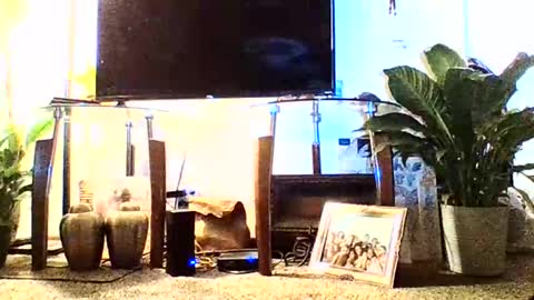 Snapshot of 333supa chatting on 12-12-24, 02:48 SuPa333 online show from 12-12-24, 02:48