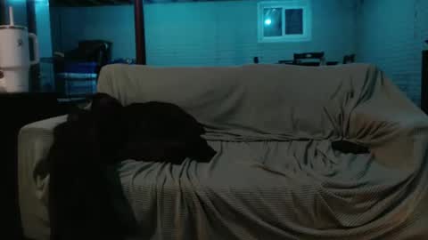 420bunnie online show from 02-26-25, 07:20