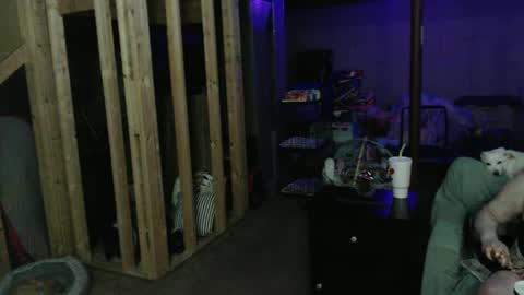 420bunnie online show from 03-01-25, 03:53