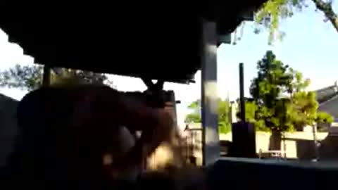 420dick420707 online show from 03-19-26, 01:20