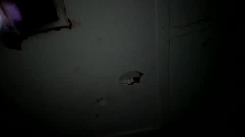 4j_n online show from 04-27-26, 02:53