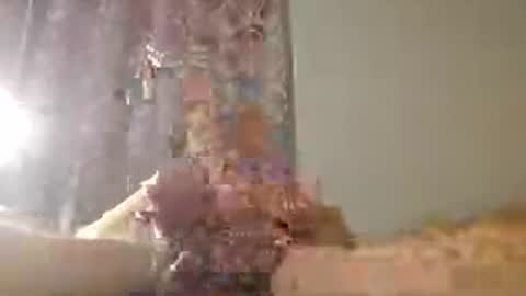 Snapshot of 60zeus60 chatting on 07-15-26, 01:33 Zeus online show from 07-15-26, 01:33