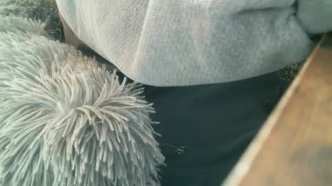 Snapshot of 6969jm chatting on 12-01-24, 05:57 6969jm online show from 12-01-24, 05:57