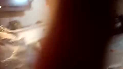 7lairddip online show from 10-06-25, 03:59