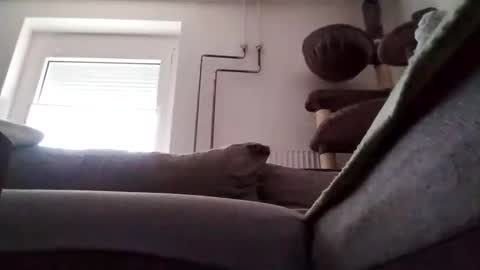 88piterr88 online show from 02-24-25, 07:22