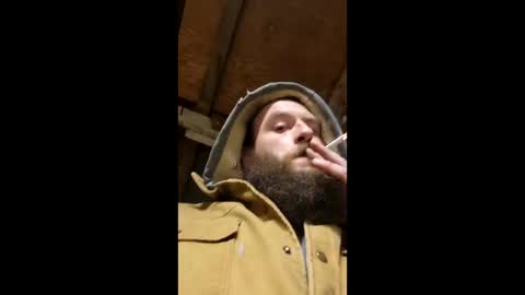 9_in_bearded_bull online show from 04-12-26, 04:39