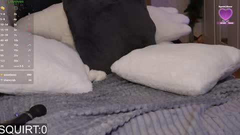 Alexa online show from 01-25-25, 09:15