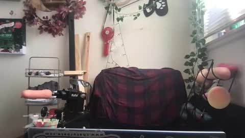 Snapshot of _bandit_b0y chatting on 12-26-24, 03:31 bandit online show from 12-26-24, 03:31