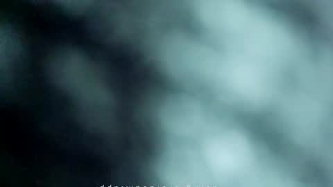 _black_horse_1 online show from 05-15-26, 11:45
