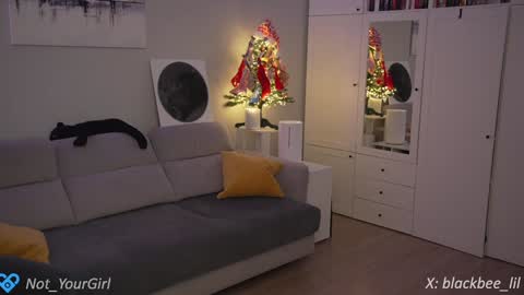 Snapshot of _blackbee_ chatting on 12-11-24, 09:23 Lili online show from 12-11-24, 09:23