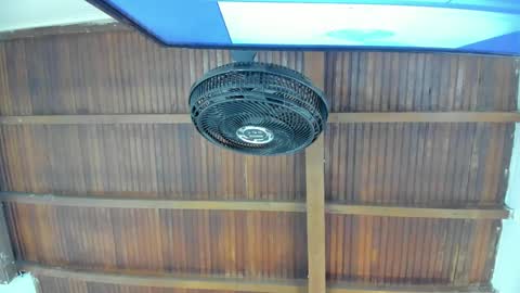 Candy online show from 11-21-25, 06:06