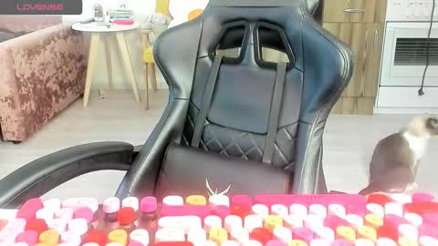 Alis online show from 03-10-26, 06:29