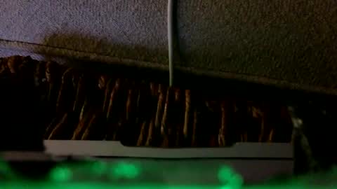 Snapshot of _frankensquirter___ chatting on 02-06-26, 02:27 Rex online show from 02-06-26, 02:27