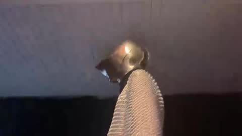 Snapshot of _goodknight chatting on 02-03-25, 05:07 GOODKNIGHT online show from 02-03-25, 05:07