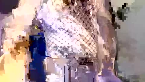 Snapshot of _incocknito_ chatting on 12-16-25, 05:40 incocknito online show from 12-16-25, 05:40