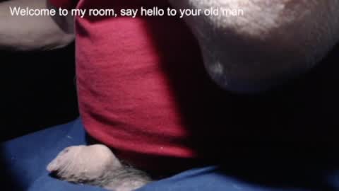 Snapshot of _jimmini chatting on 02-21-25, 04:16 _jimmini online show from 02-21-25, 04:16