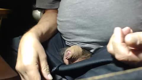 Snapshot of _jimmini chatting on 11-01-25, 05:04 _jimmini online show from 11-01-25, 05:04