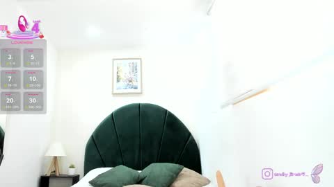    online show from 04-11-26, 07:51