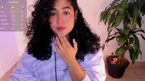     online show from 04-25-26, 11:24