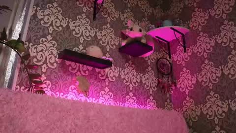 Stream  at  am in MoscowI am waiting for you very much3 online show from 04-26-26, 11:13