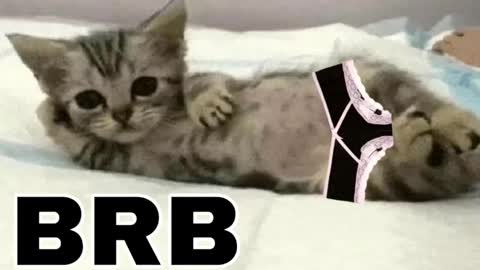 miko3 online show from 03-12-26, 09:54