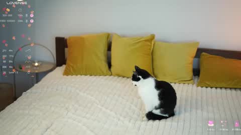 _million_dollarsmile online show from 12-01-25, 12:43