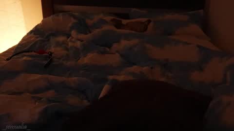 Snapshot of _sensualia_ chatting on 09-09-25, 06:07 Lia online show from 09-09-25, 06:07