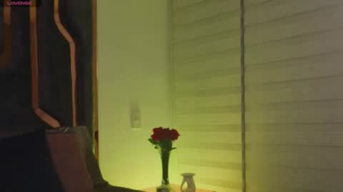 Snapshot of _silvia_vega_ chatting on 06-14-26, 04:36 _silvia_vega_ online show from 06-14-26, 04:36