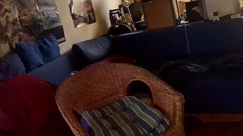 Snapshot of _svenerd87___ chatting on 10-30-25, 01:23 Sven online show from 10-30-25, 01:23