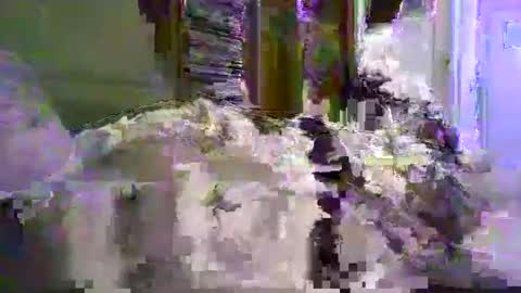 Snapshot of a203530 chatting on 01-08-26, 10:23 a203530 online show from 01-08-26, 10:23