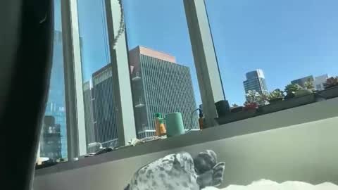 aaron494949 online show from 04-05-26, 07:55