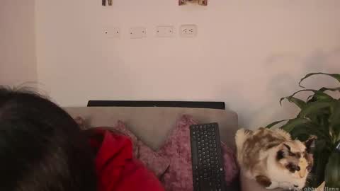 Snapshot of abbey_allen chatting on 03-07-25, 11:38 Abbey  IG abby allenn  04 December Online at  I will be on vacation dont forget me  See you soon   online show from 03-07-25, 11:38
