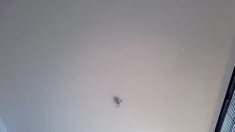 Martina online show from 01-12-25, 01:48