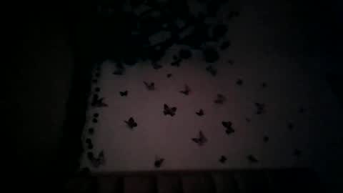 abby_moss_2 online show from 07-17-26, 12:45