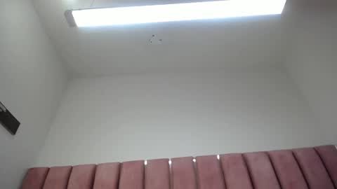 abby_ros_ online show from 01-29-25, 06:22