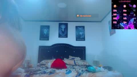 abbyshinne online show from 02-19-26, 04:03