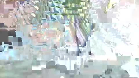 acexx8124 online show from 02-23-26, 02:14