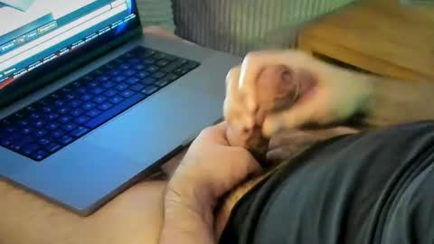 Snapshot of achtinch chatting on 01-15-26, 07:24 ACHTINCH online show from 01-15-26, 07:24