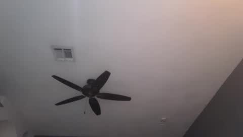 OF  online show from 01-23-25, 12:04