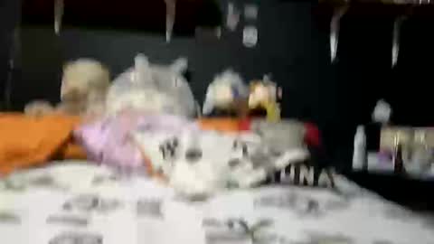 adam and abby online show from 02-28-25, 05:37