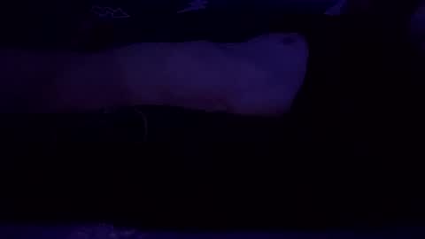 adamllamas online show from 03-08-25, 07:49