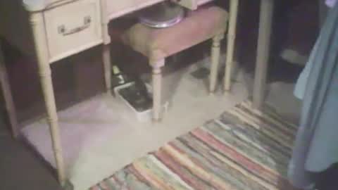 adamsny online show from 04-21-26, 04:41