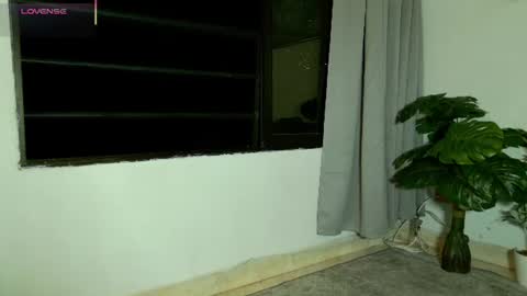 Snapshot of adelineevs chatting on 07-12-26, 11:51 ADELINE online show from 07-12-26, 11:51