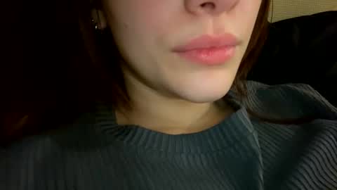 Snapshot of agnes_your chatting on 11-28-25, 12:13 Agnes online show from 11-28-25, 12:13